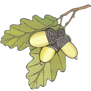 Wildwood Cemetery Co.